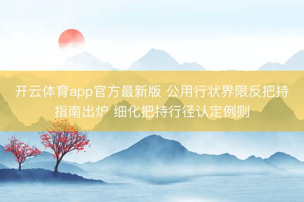 开云体育app官方最新版 公用行状界限反把持指南出炉 细化把持行径认定例则
