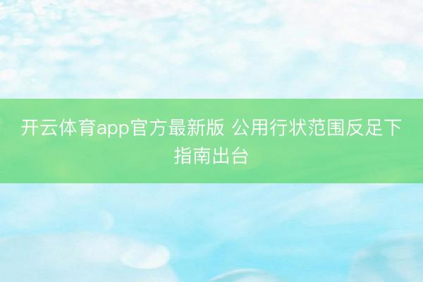 开云体育app官方最新版 公用行状范围反足下指南出台