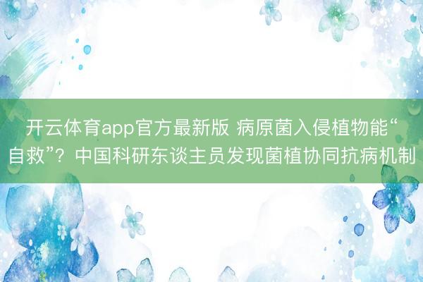开云体育app官方最新版 病原菌入侵植物能“自救”？中国科研东谈主员发现菌植协同抗病机制