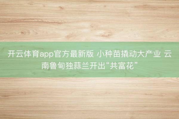 开云体育app官方最新版 小种苗撬动大产业 云南鲁甸独蒜兰开出“共富花”