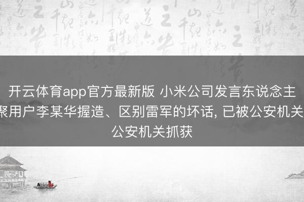 开云体育app官方最新版 小米公司发言东说念主: 集聚用户李某华握造、区别雷军的坏话， 已被公安机关抓获